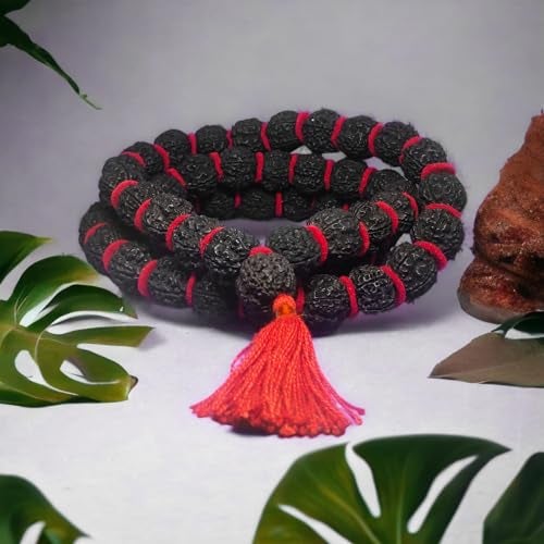 Edmiria 5 Mukhi Rudraksha Kantha Mala Big Beads | Five Face (Panch Mukhi) Rudraksha Kantha | Mala| Holy & Auspicious Nepali Rudraksha Size-20mm Approx (Black 54+1) - Image 2