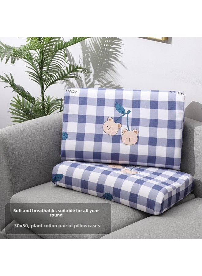 Summer Ice Silk Latex Pillowcase 40x 60 Pair Pack 30X50 Single Adult One Single Cool Pillow Jacket-Color:30x50x8 -Specifications:(plant Cotton) Freehand Life  - Image 1