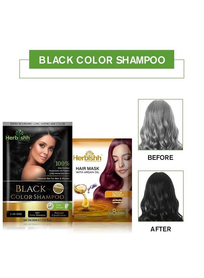 Herbishh Natural Hair Dye Shampoo with Argan Mask - Long-Lasting Color for Gray Hair - Travel Size, 10+1 Pack, Ammonia-Free (Black) - Image 3
