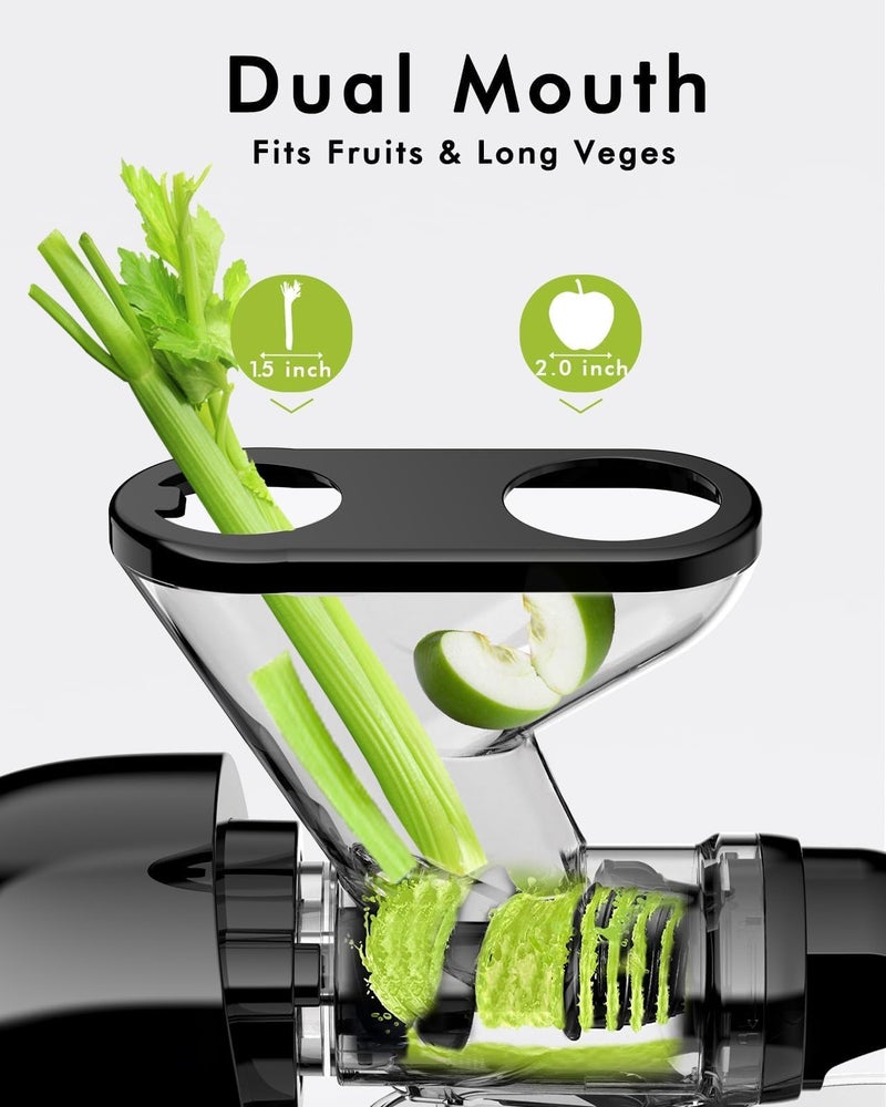 SIFENE Compact Single Auger Slow Masticating Juicer Machine, for Celery, Carrot, Ginger, Fruits & Leafy Greens, Easy to Clean, Dual Feed Chute, BPA-Free, Quiet Operation for Small Kitchens - Image 2