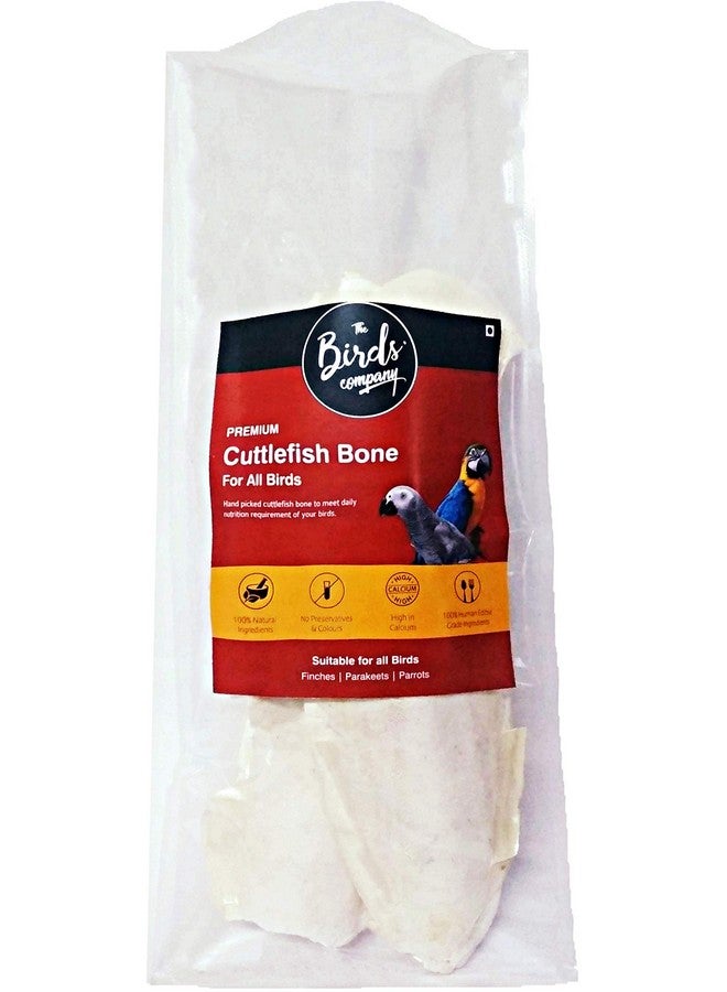The Birds Company All Life Stages Premium Cuttlefish Bone Chunks, Bird Calcium for Finches, Budgies, Conures, Lovebirds, Cockatiels, African Grey, Macaws, Cockatoo, Eclectus, 100 g - Image 1