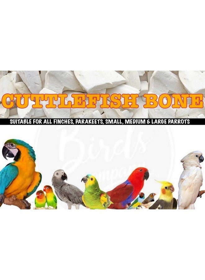 The Birds Company All Life Stages Premium Cuttlefish Bone Chunks, Bird Calcium for Finches, Budgies, Conures, Lovebirds, Cockatiels, African Grey, Macaws, Cockatoo, Eclectus, 100 g - Image 3