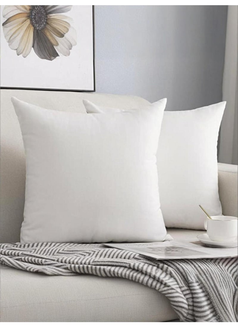 Generic 2-Piece Ultra Soft Cushion Insert 45 x 45 CM  - Image 1