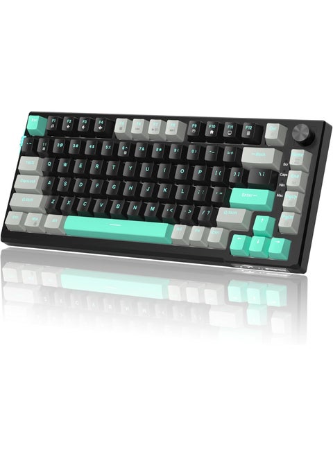 MageGee SKY81 75% Mechanical Gaming Keyboard, Gasket Hot Swappable Wired Custom Creamy Keyboard with 5-Layer Sound Dampening, Knob Control, RGB Backlit, NKRO for Win/Mac (Dark Elf, Blue Whale Switch)