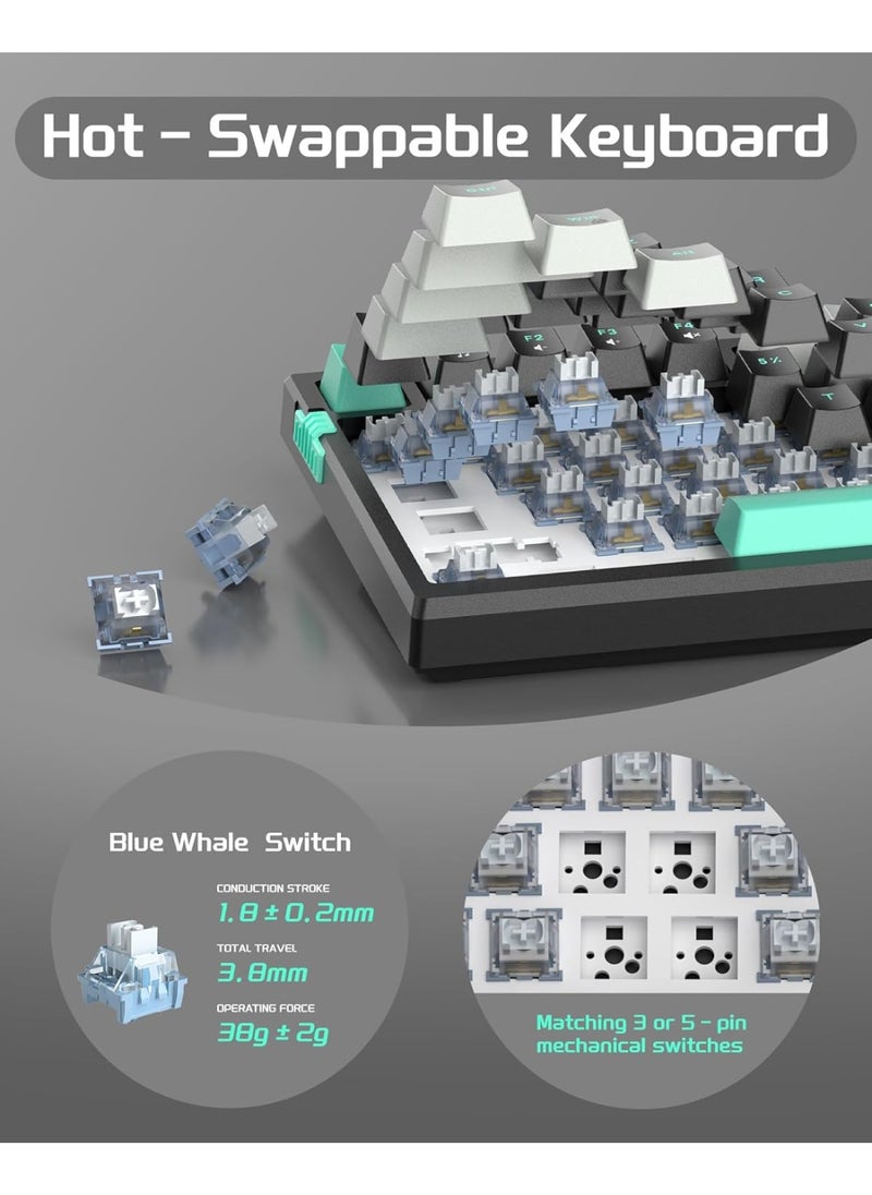 MageGee - MageGee SKY81 75% Mechanical Gaming Keyboard, Gasket Hot Swappable Wired Custom Creamy Keyboard with 5-Layer Sound Dampening, Knob Control, RGB Backlit, NKRO for Win/Mac (Dark Elf, Blue Whale Switch) - Image 1