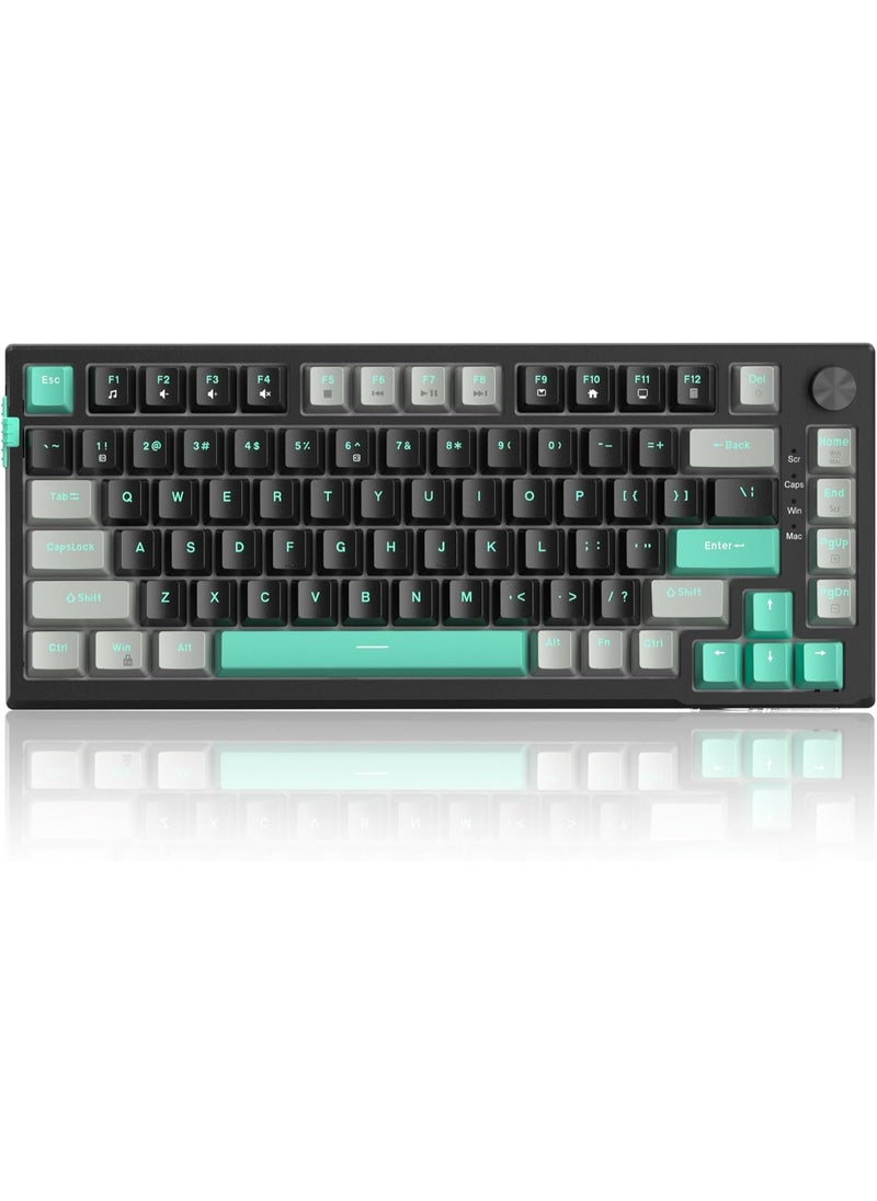 MageGee - MageGee SKY81 75% Mechanical Gaming Keyboard, Gasket Hot Swappable Wired Custom Creamy Keyboard with 5-Layer Sound Dampening, Knob Control, RGB Backlit, NKRO for Win/Mac (Dark Elf, Blue Whale Switch) - Image 1