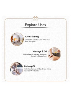 AVD Organics AVD ORGANICS Frankincense Essential Oil 30ml - 100% Pure and Natural - Therapeutic Grade Essential Oil for Skin, Home Fragrance, 1fl. Oz  - Image 3