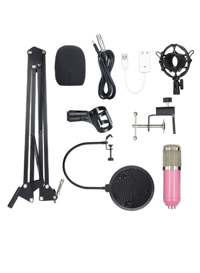 NIBEMINENT Recording And Broadcasting Condenser Microphone 1D7066P Multicolour - Image 1