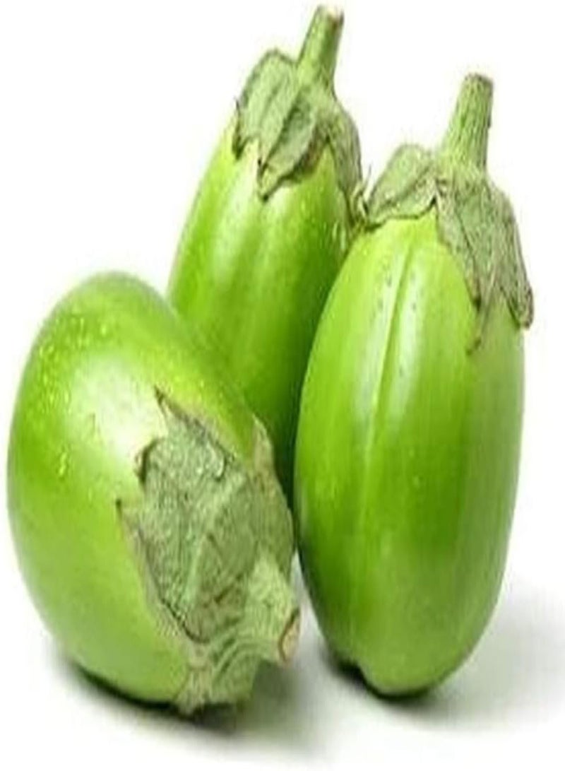 GGOOT 100Pcs Eggplant Seeds Rare Green Eggplant Low Maintenance High Yield Non-GMO Heirloom Vegetable Seed for Garden Balcony Planting - Image 1