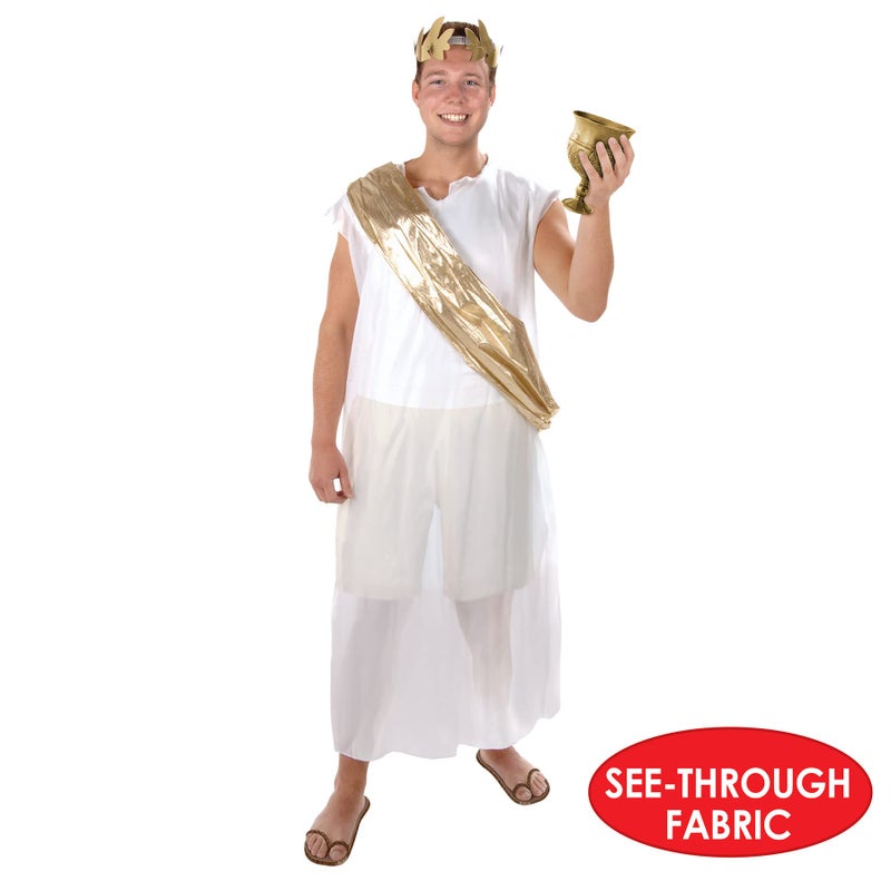 Beistle Toga Set, One Size Fits Most White/Gold 16.8 x 8.8 x 0.8 inches - Image 3