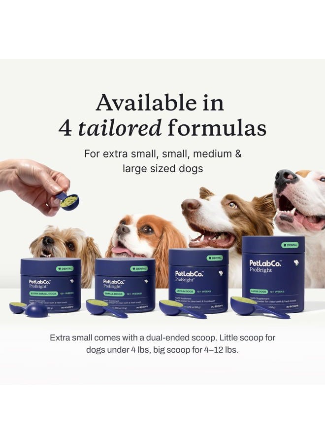 PetLab Co. ProBright Dental Powder - Dog Breath Freshener - Teeth Cleaning Made Easy – Targets Tartar & Bad Breath - Formulated for Small Dogs - Packaging May Vary - Image 5
