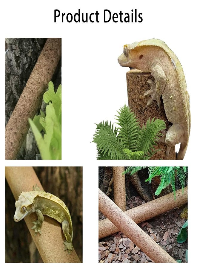 Repticircle Cork Branch for Reptiles - 11.8" Natural Climbing Wood Sticks for Crested Geckos, Tree Frogs, Bearded Dragons, Snakes, Lizards & Chameleons - Perfect Terrarium Habitat Decor - Image 3