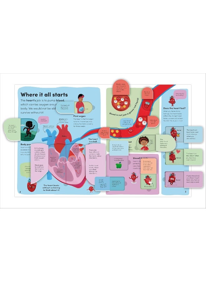 You and Your Body: A First Look Inside the Human Body - Image 5