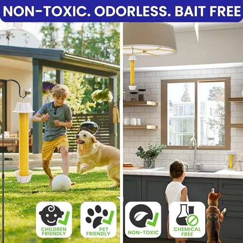 BugBane Fly Stick Sticky Fly Traps for Indoors Outdoor 6pk. Non-Toxic Super Sticky Hanging Flies Catcher Paper Tape Strips for Home. Catches All Bugs and gnats. Indoor Outdoor House Flying Insect Trap - Image 4
