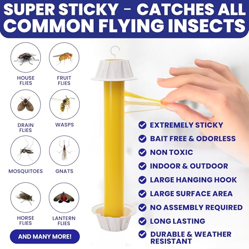 BugBane Fly Stick Sticky Fly Traps for Indoors Outdoor 6pk. Non-Toxic Super Sticky Hanging Flies Catcher Paper Tape Strips for Home. Catches All Bugs and gnats. Indoor Outdoor House Flying Insect Trap - Image 2