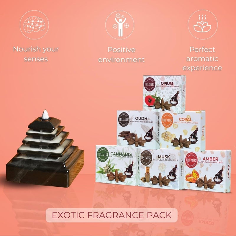 TRUMIRI Exotic - Backflow Incense Cones for Waterfall - Scented Inscents-Cones - Copal, Amber, Musk, Oud - Insiensos Aromaticos - 6x10=60 Large Variety Pack - Image 5