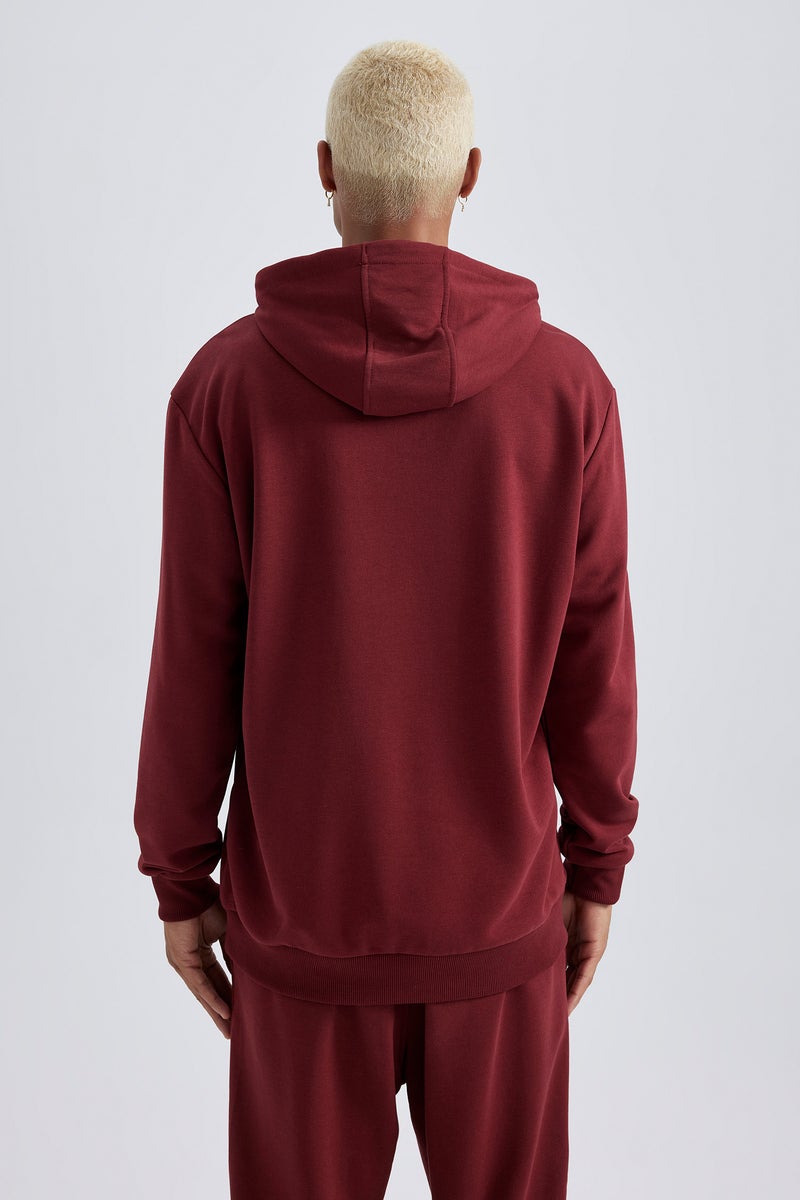 DeFacto Man DeFactoFit NBA Wordmark Standard Fit Hooded Sweatshirt  - Image 4