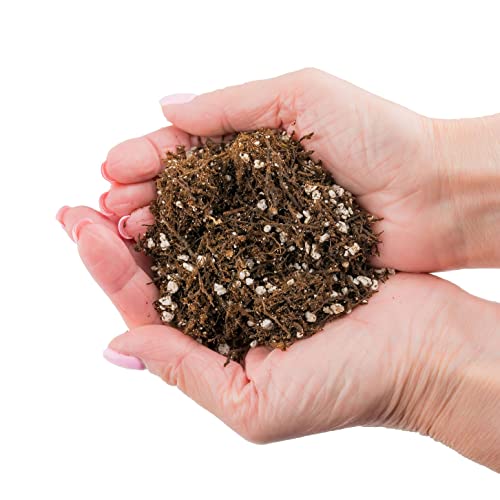 Gardenera Fern + Perlite Soil Mix for Repotting and Planting Succulents and Cactuses - 1 Quart Bag - Image 5