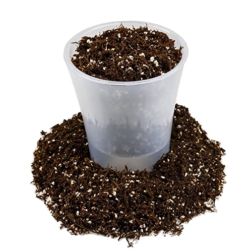 Gardenera Fern + Perlite Soil Mix for Repotting and Planting Succulents and Cactuses - 1 Quart Bag - Image 4