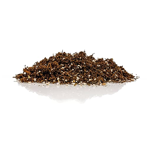 Gardenera Fern + Perlite Soil Mix for Repotting and Planting Succulents and Cactuses - 1 Quart Bag - Image 2