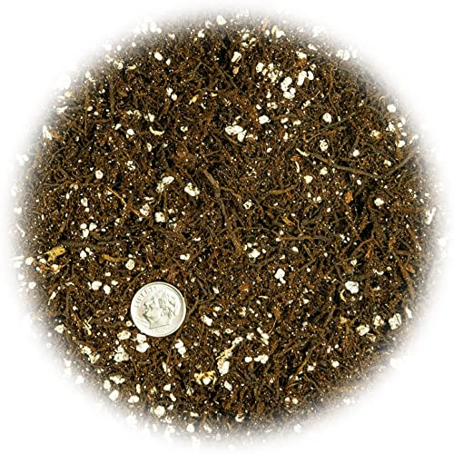 Gardenera Fern + Perlite Soil Mix for Repotting and Planting Succulents and Cactuses - 1 Quart Bag - Image 3