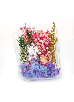 Luxury Deco Luxury Deco Dry Flower Box Rainbow Blossom Elegant Preserved Flowers in Beautiful Gift Box for Home Dcor Gifting and Special Occasions  - Image 1