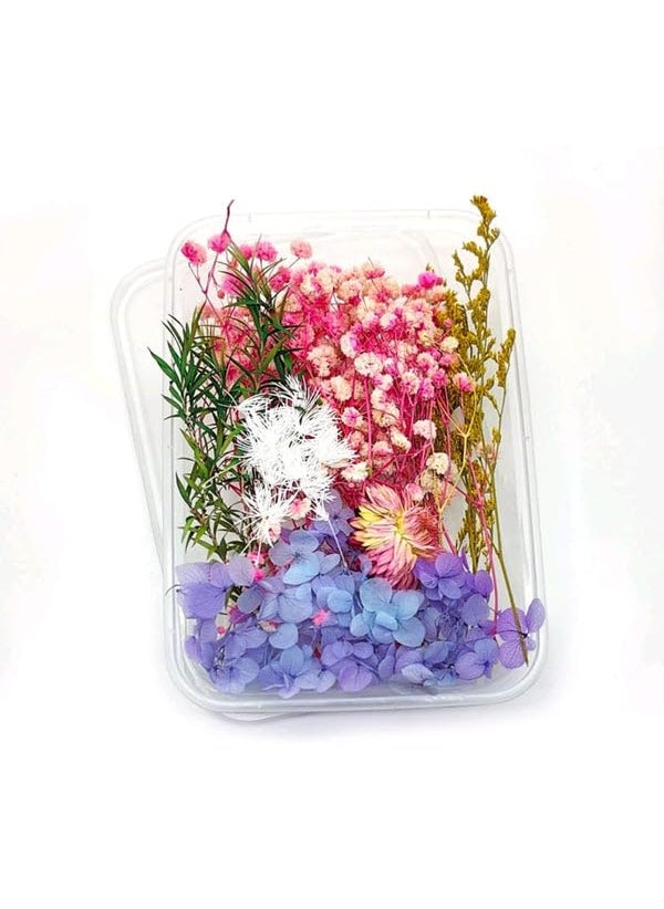 Luxury Deco Luxury Deco Dry Flower Box Rainbow Blossom Elegant Preserved Flowers in Beautiful Gift Box for Home Dcor Gifting and Special Occasions  - Image 1