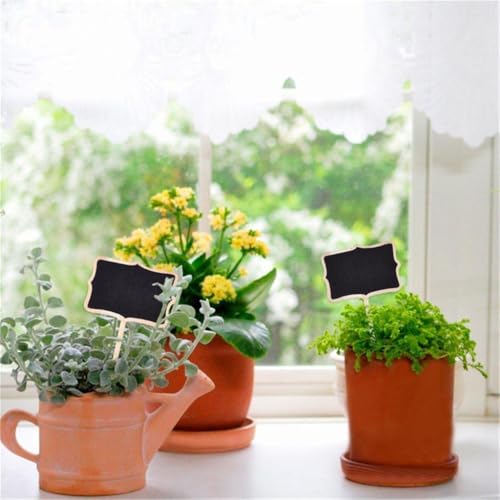 Haoser 10 Pcs Wooden Chalkboard Price Tags with Stand – 7 Inch Reusable Mini Blackboard Signs for Wedding, Plant Labels, Home & Party Decoration (6x8cm) - Image 5