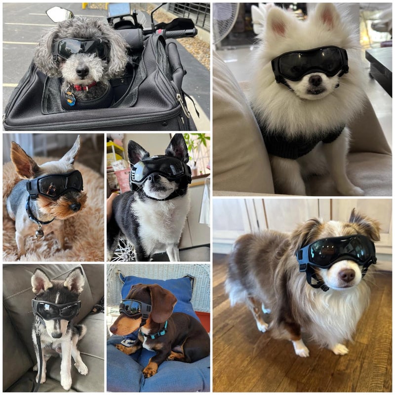 Billionchains Dog Goggles Dog Sunglasses for Small Breed UV Protection Windproof with Adjustable Head Straps Chin Straps for Ride Car/Hiking Travel/On Beach-Black - Image 2