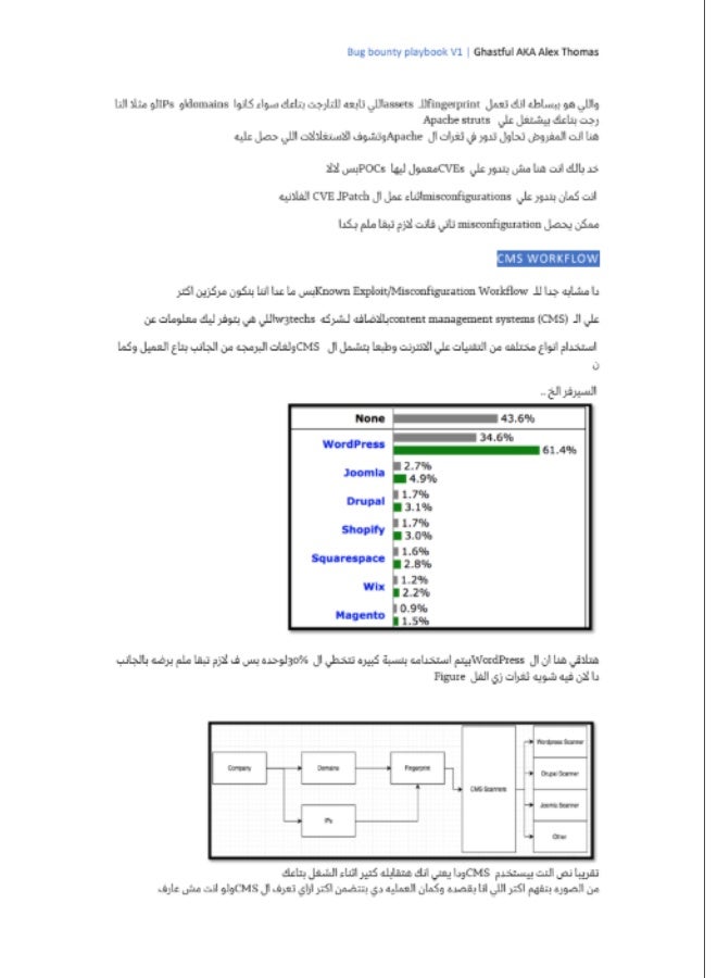 Bug Bounty Playbook v1.0 Arabic - Image 3
