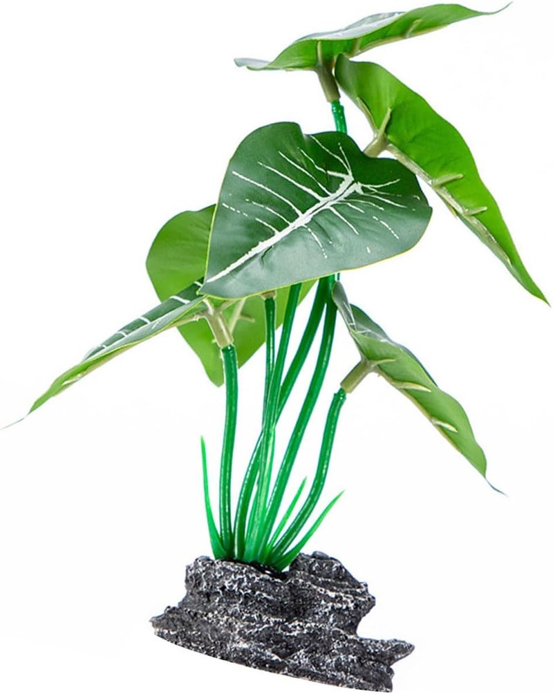 Transparent body Artificial Plant with Base Aquariums Ornament Easy to Maintenance for Various Size Fishank Landscape Water Plant Fishtanks Landscape All choice modern design Global simple assemble options Wet anti slip All usage compatible Remote village delivery cover Practical versatile construction Pre-stock well-packed goods All-round applied quality Nationwide delivery UV resistant Modern warehouse management Local licensed courier Widely used design Regulated warehouse storage Public demand affordable quality Batch uniform stable quality Multiple local stock source Low wear optimized design Easy handling optimized design Seasonal & permanent compatible Safe silicone build Strategic warehouse site Easy clean surface Hardness boosted processed substance - Image 1