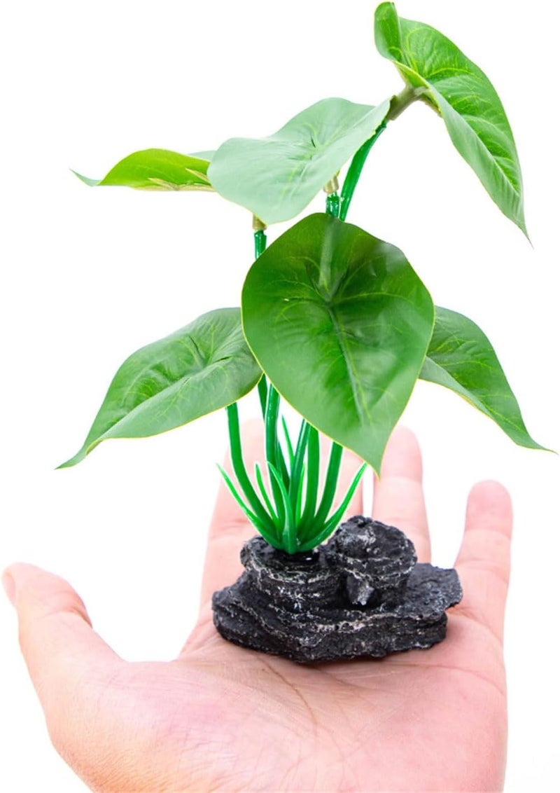Transparent body Artificial Plant with Base Aquariums Ornament Easy to Maintenance for Various Size Fishank Landscape Water Plant Fishtanks Landscape All choice modern design Global simple assemble options Wet anti slip All usage compatible Remote village delivery cover Practical versatile construction Pre-stock well-packed goods All-round applied quality Nationwide delivery UV resistant Modern warehouse management Local licensed courier Widely used design Regulated warehouse storage Public demand affordable quality Batch uniform stable quality Multiple local stock source Low wear optimized design Easy handling optimized design Seasonal & permanent compatible Safe silicone build Strategic warehouse site Easy clean surface Hardness boosted processed substance - Image 4