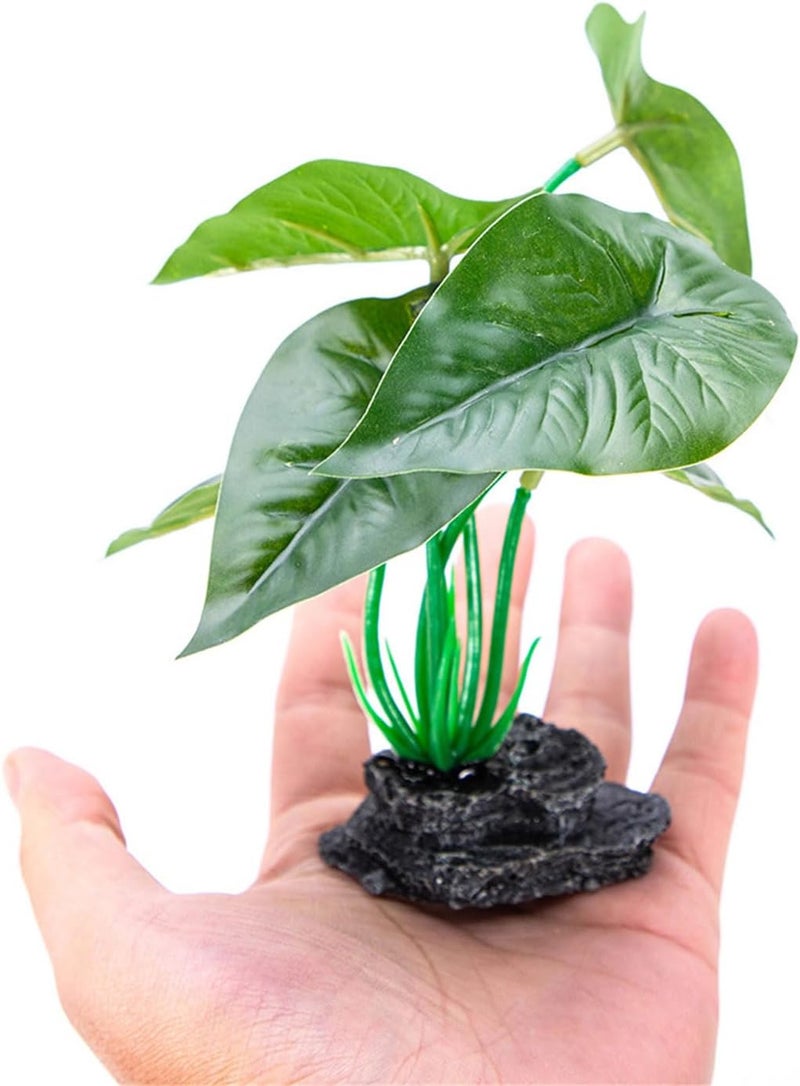 Transparent body Artificial Plant with Base Aquariums Ornament Easy to Maintenance for Various Size Fishank Landscape Water Plant Fishtanks Landscape All choice modern design Global simple assemble options Wet anti slip All usage compatible Remote village delivery cover Practical versatile construction Pre-stock well-packed goods All-round applied quality Nationwide delivery UV resistant Modern warehouse management Local licensed courier Widely used design Regulated warehouse storage Public demand affordable quality Batch uniform stable quality Multiple local stock source Low wear optimized design Easy handling optimized design Seasonal & permanent compatible Safe silicone build Strategic warehouse site Easy clean surface Hardness boosted processed substance - Image 3