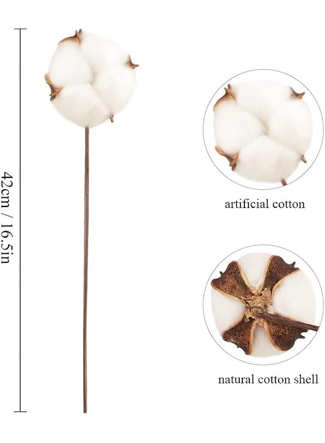 The Bros 10 Packs Cotton Stems, Natural Dried Cotton for Vase Fillers, Home Wedding Decor - Image 2