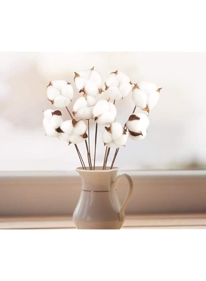 The Bros 10 Packs Cotton Stems, Natural Dried Cotton for Vase Fillers, Home Wedding Decor - Image 5