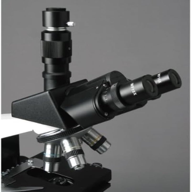 AmScope AmScope T490BDK Compound Trinocular Microscope WF10x and WF20x Eyepieces 40X2000X Magnification BrightfieldDarkfield Halogen Illumination Abbe Condenser DoubleLayer Mechanical Stage Sliding Head HighResolution Optics  - Image 4