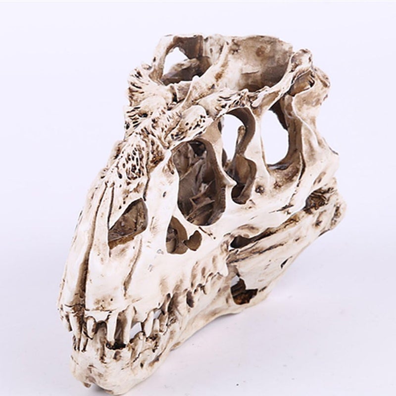 klarako Retro Dinosaur Resin Skull Head Model Replica Skeleton Figurine Collection Home Bar Party Decor  White, 12.5x16x8.5cm - Image 3