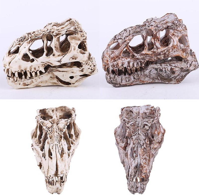 klarako Retro Dinosaur Resin Skull Head Model Replica Skeleton Figurine Collection Home Bar Party Decor  White, 12.5x16x8.5cm - Image 2