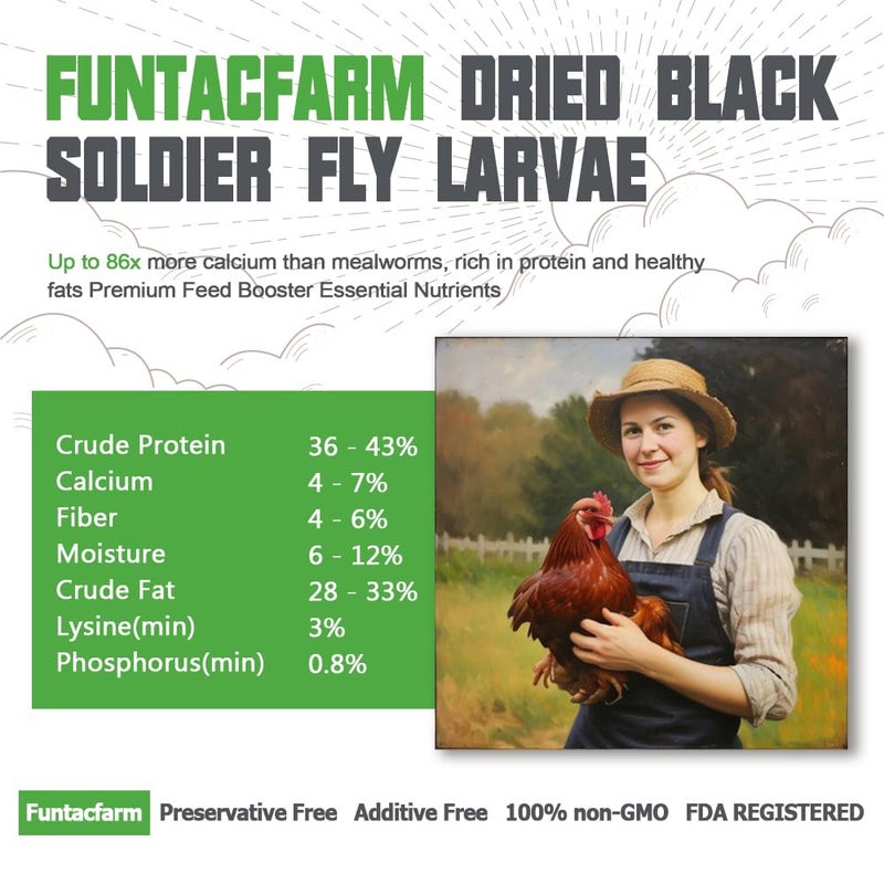 Funtacfarm Dried Worms Black Solider Fly Larvae 5LB, Superior to Mealworms Chicken Treat, 86x Calcium Than Meal Worms, 100% Non-GMO Organic Chicken Feed - Image 2