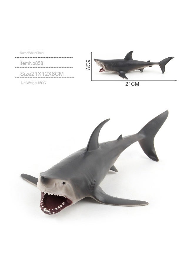 NIBEMINENT Realistic Ocean Creature Toy Models - Set of 6 Classic Shark Figures