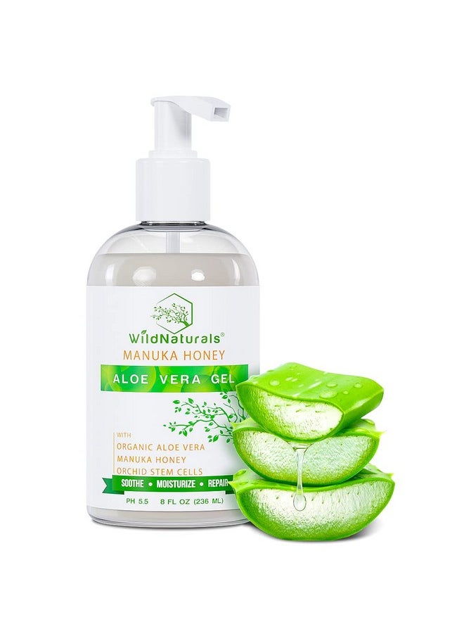 Wild Naturals - Aloe Vera Gel For Skin With Manuka Honey - Pure Aloe Vera Gel For Sunburn Relief - Organic Aloe Vera Gel For Face, Acne, And Scars - Aloe Gel For Hair And Dry Scalp - 100 Percent Pure Aloe Vera Gel - Image 1