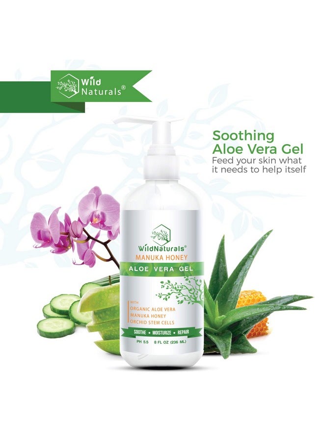 Wild Naturals - Aloe Vera Gel For Skin With Manuka Honey - Pure Aloe Vera Gel For Sunburn Relief - Organic Aloe Vera Gel For Face, Acne, And Scars - Aloe Gel For Hair And Dry Scalp - 100 Percent Pure Aloe Vera Gel - Image 1