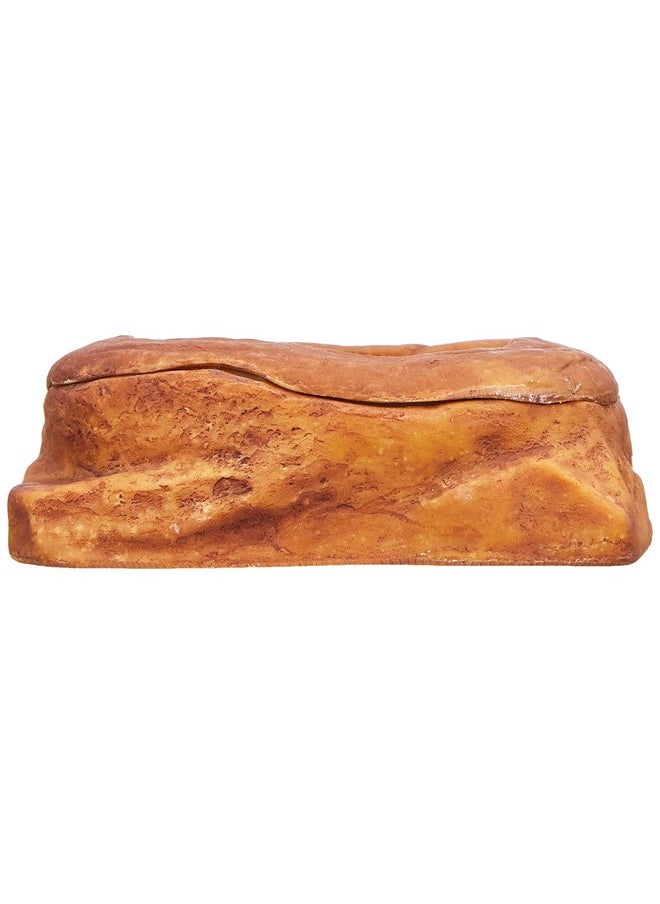 إكسو تيرا - طبق طعام ديدان إكسو تيرا متوسط الحجم (عبوة من قطعة واحدة) - Image 1