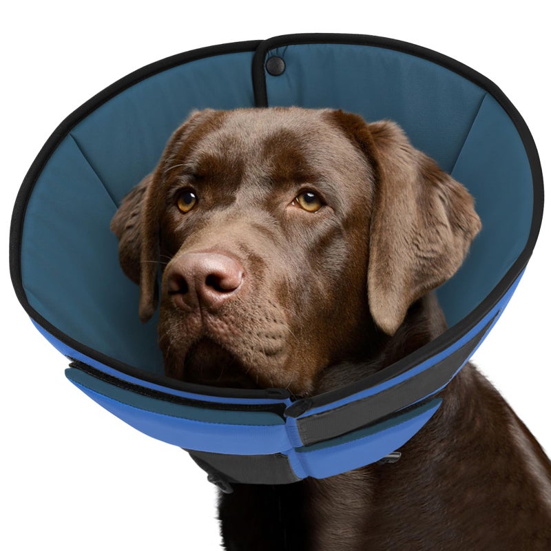 Queenmore Dog Cone XL, Soft Dog Cones for Large Dogs After Surgery, Cone for Dogs to Stop Licking, Elizabethan Collar for Pet, Alternative to Recovery Collar for Large Breeds, Blue XL - Image 1