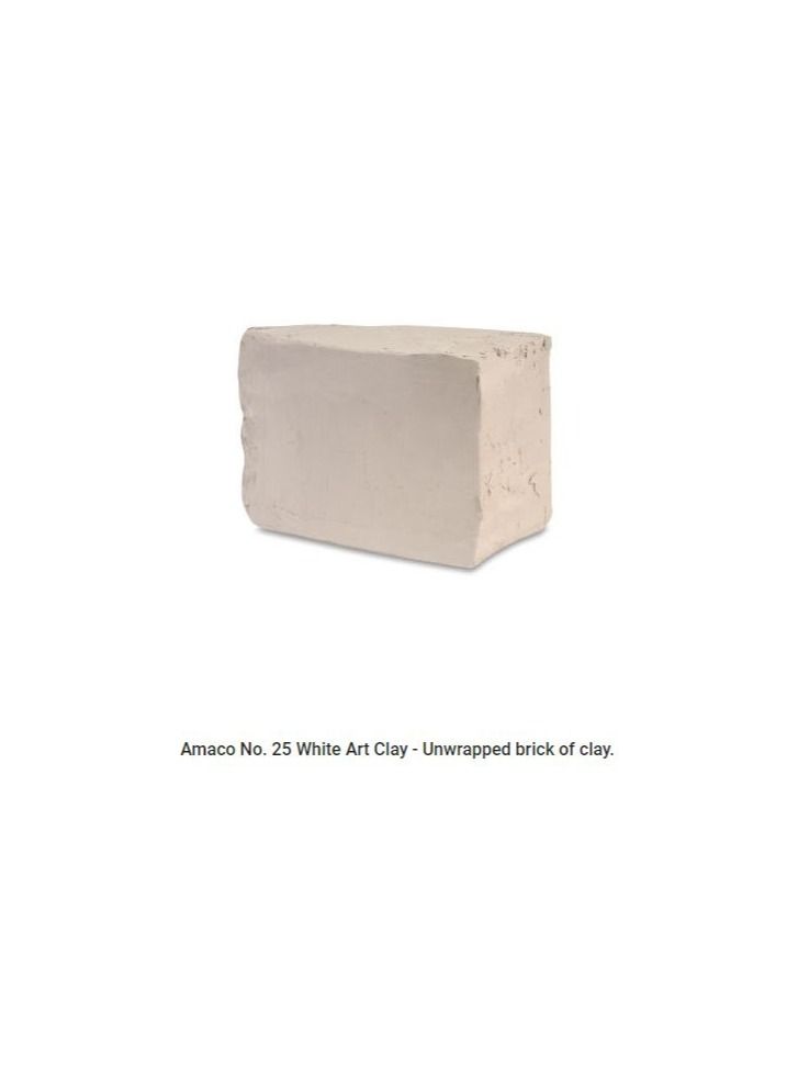 Amaco طين أماركو الأبيض رقم 25 (11.33 كجم لكل صندوق) حريق منخفض - Image 3