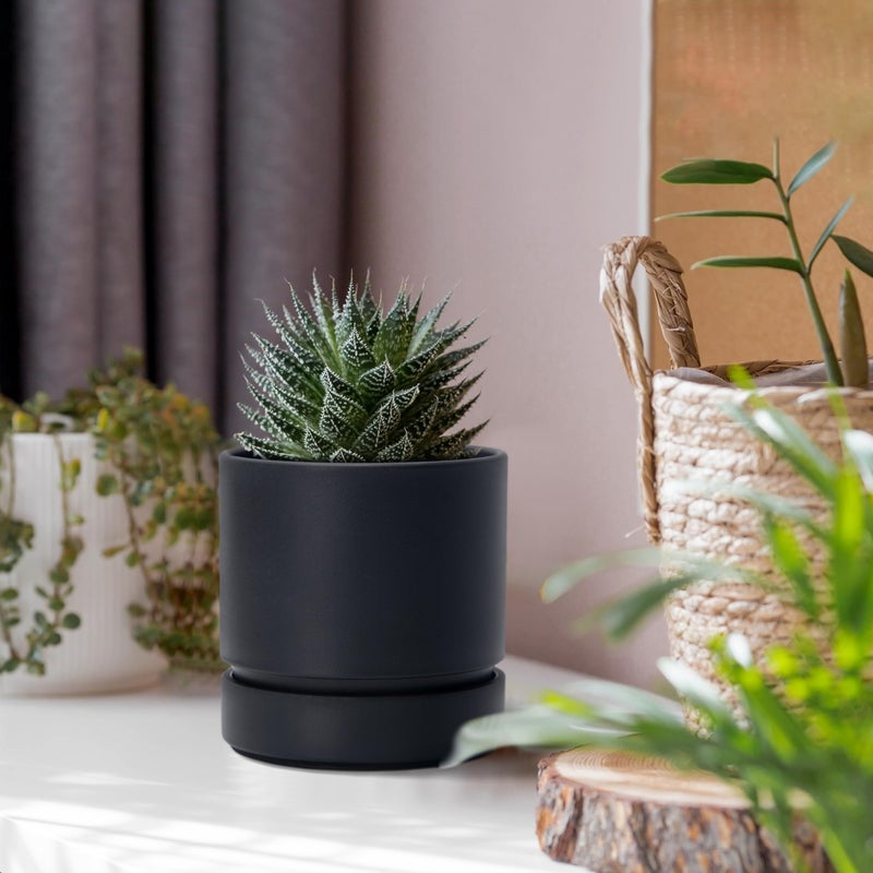 Phoenix Vine 4 Inch Planter Pot with Drainage Hole & Saucer, Deep Water Catch Tray, Straight Cylindrical Round Pot for Plants, Matte Black, Pack of 1, 23-C-R-1 - Image 3