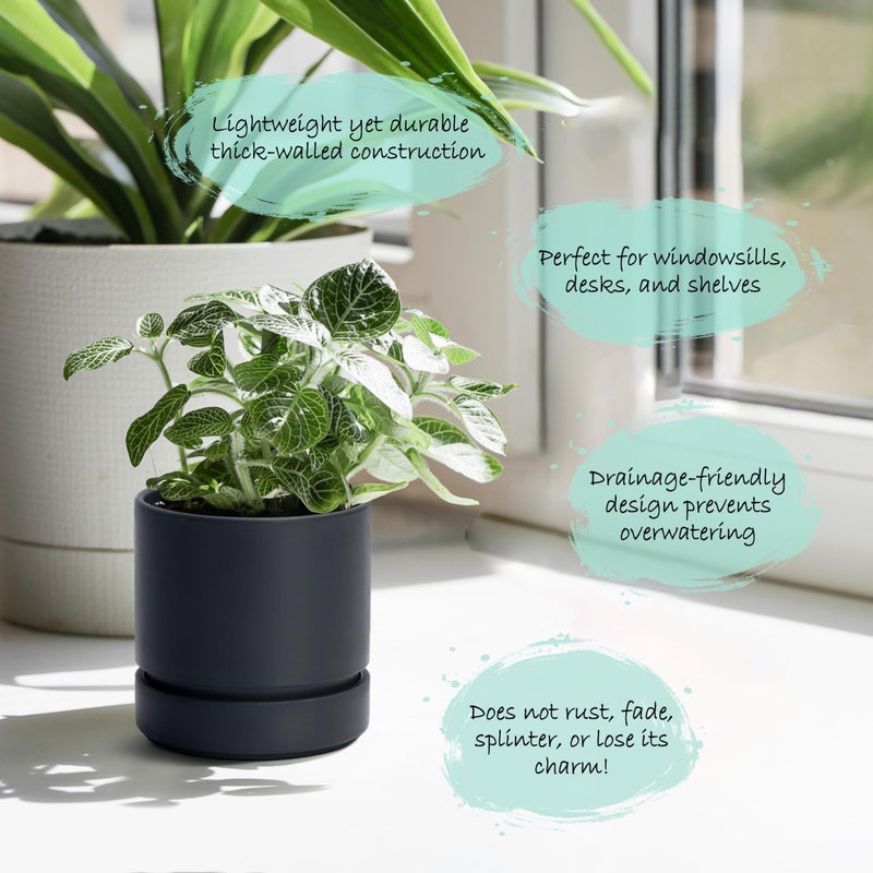 Phoenix Vine 4 Inch Planter Pot with Drainage Hole & Saucer, Deep Water Catch Tray, Straight Cylindrical Round Pot for Plants, Matte Black, Pack of 1, 23-C-R-1 - Image 5