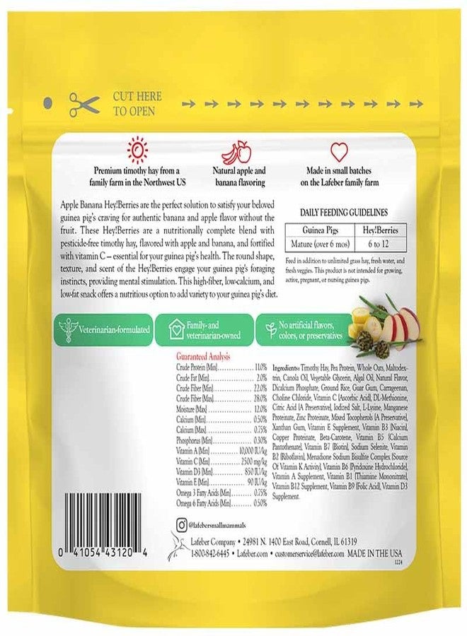 LAFEBER'S Hey!Berries for Guinea Pigs 5 oz (Natural Apple and Banana Flavoring) - Image 2