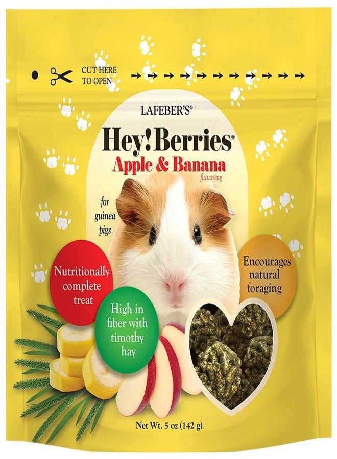 LAFEBER'S Hey!Berries for Guinea Pigs 5 oz (Natural Apple and Banana Flavoring) - Image 1