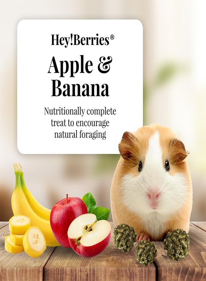 LAFEBER'S Hey!Berries for Guinea Pigs 5 oz (Natural Apple and Banana Flavoring) - Image 3